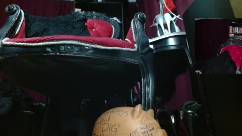 Snapshot of megoddessara chatting on 2, 5, 2026 Goddess Sara online show from 2, 5, 2026