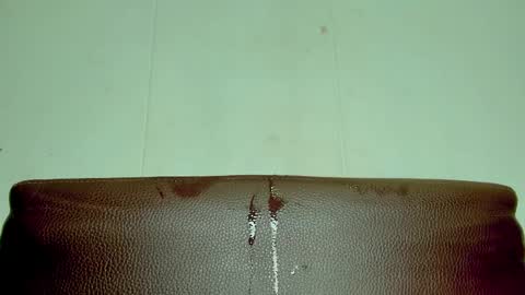 Melania online show from 12, 4, 2026