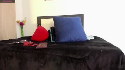 Snapshot of melaniie_roussel chatting on 22, 12, 2024 melaniie_roussel online show from 22, 12, 2024