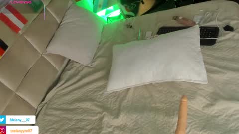 Snapshot of melany__8 chatting on 29, 6, 2026 melany online show from 29, 6, 2026