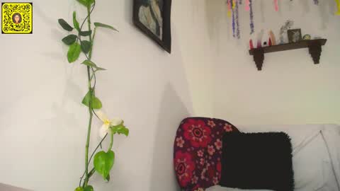 Snapshot of meliss1 chatting on 11, 2, 2025 melissa online show from 11, 2, 2025