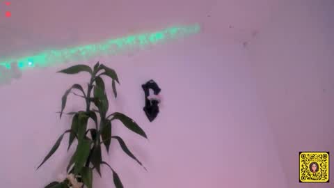 Snapshot of meliss1 chatting on 20, 9, 2025 melissa online show from 20, 9, 2025