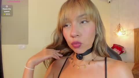    online show from 2, 6, 2026