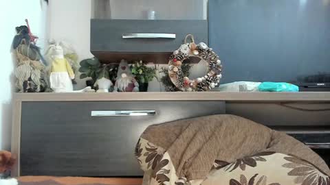 MellyMell  online show from 8, 1, 2025