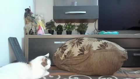 MellyMell  online show from 18, 2, 2025