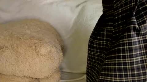 MelMooon online show from 9, 3, 2026