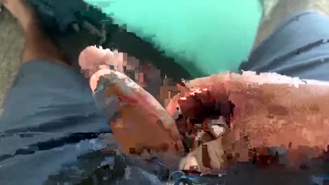 Toro loco online show from 14, 9, 2025