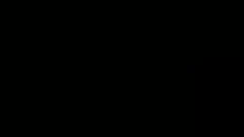 Toro loco online show from 21, 9, 2025