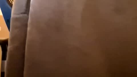 DutchFun Cock online show from 6, 1, 2026