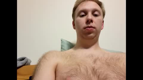 meow732 online show from 20, 11, 2025