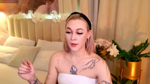 your kitty Amanda online show from 8, 9, 2025