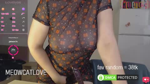 meowcatlove online show from 25, 1, 2025