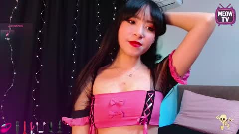 meowkami online show from 14, 11, 2025