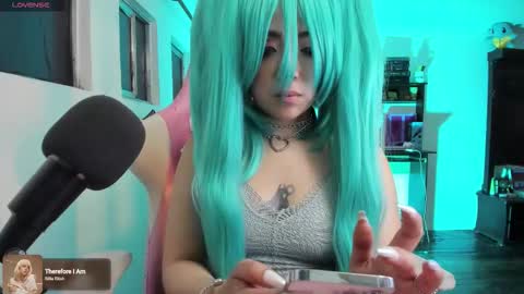 Snapshot of meowmelf chatting on 2, 12, 2025 meowmelf online show from 2, 12, 2025