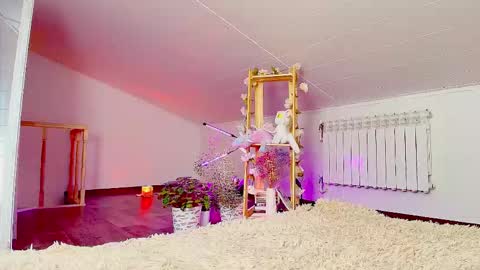 meowroslava online show from 14, 11, 2025