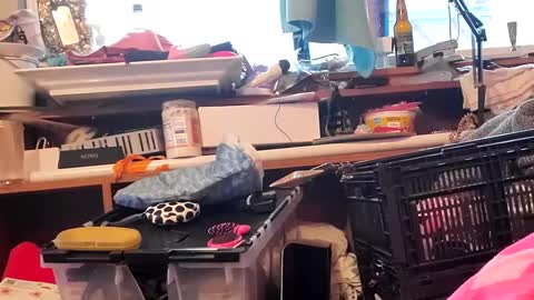 Snapshot of merelyalover chatting on 6, 1, 2025 gurlnips online show from 6, 1, 2025