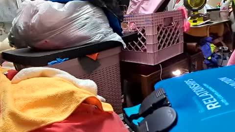 Snapshot of merelyalover chatting on 26, 2, 2025 gurlnips online show from 26, 2, 2025