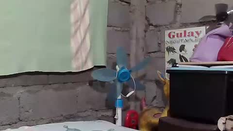 Snapshot of merietiny chatting on 22, 1, 2025 merietiny online show from 22, 1, 2025