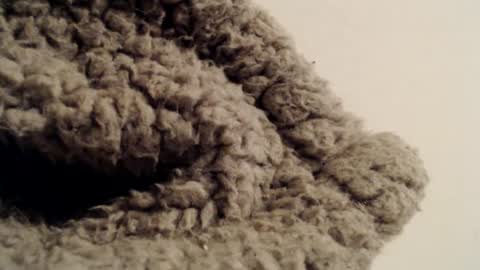 Mauro online show from 1, 2, 2025