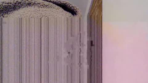 Mauro online show from 15, 2, 2025