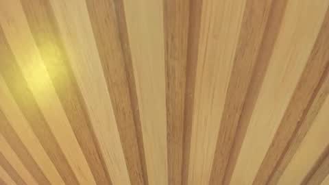 Snapshot of mia__blaze_ chatting on 27, 11, 2025 mia__blaze_ online show from 27, 11, 2025