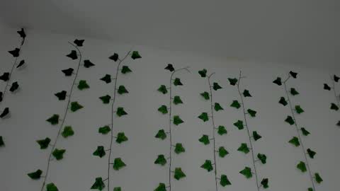 MIA online show from 10, 1, 2026