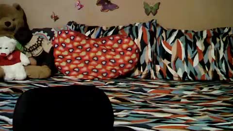 Snapshot of mia_rein chatting on 26, 6, 2026 mia_rein online show from 26, 6, 2026