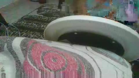 miagomezx online show from 17, 2, 2026