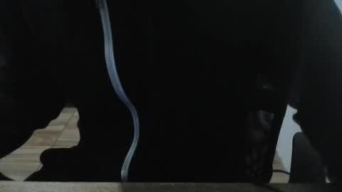 miamorr_ online show from 3, 2, 2026