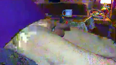 Micha online show from 2, 3, 2025