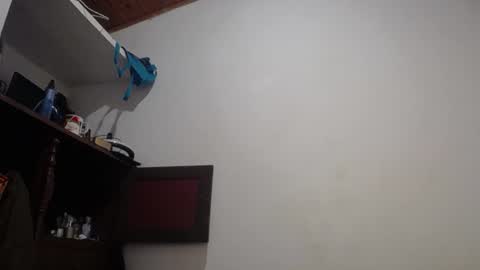 Snapshot of michaeel_blue chatting on 27, 6, 2026 Michael online show from 27, 6, 2026