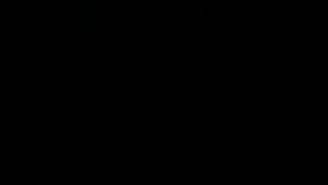  MIKE FOXXX online show from 4, 12, 2025