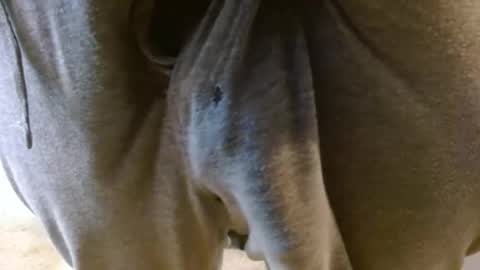 Snapshot of mikehey1 chatting on 27, 11, 2025 mikehey1 online show from 27, 11, 2025