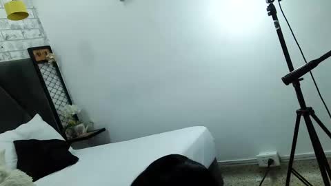 Snapshot of mila_adamss chatting on 23, 12, 2024 mila_adamss online show from 23, 12, 2024