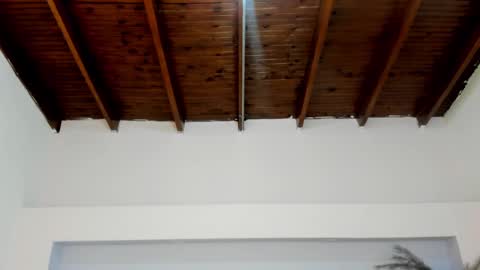 Mila Rose online show from 6, 1, 2025