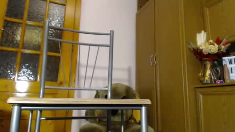 Im  to see you here Pvts are open  I love patterns soo much online show from 4, 12, 2024