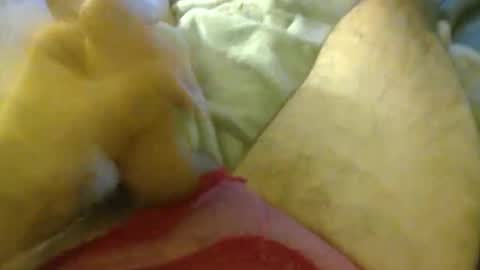 Snapshot of milkncookies8 chatting on 3, 10, 2025 milkncookies8 online show from 3, 10, 2025