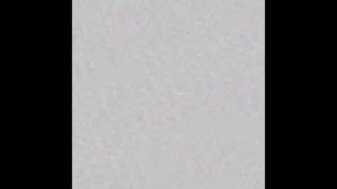 millergardener online show from 2, 3, 2025