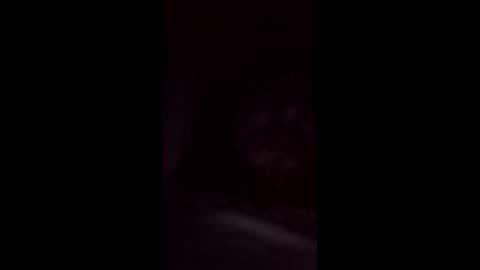 mineiro1514 online show from 20, 2, 2026