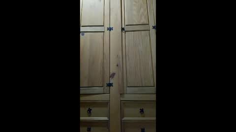 mineiro1514 online show from 6, 4, 2026