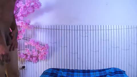 Mirandatroy online show from 2, 12, 2025