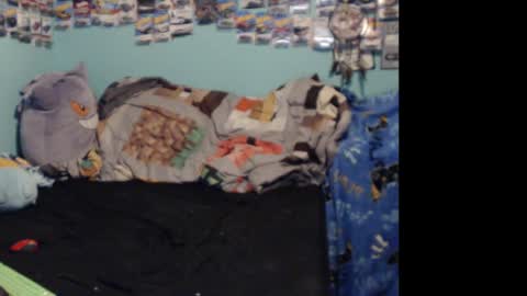 Snapshot of mishkawolfcatbbbygirl chatting on 12, 3, 2025 mishkababygirl online show from 12, 3, 2025