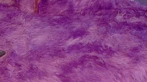 miss__jones_ online show from 6, 4, 2026