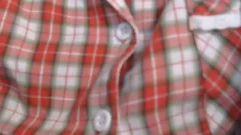 Elis online show from 5, 12, 2025