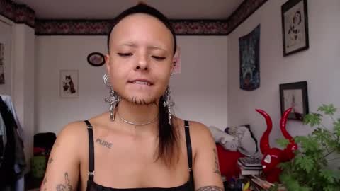 Anarkitten  online show from 21, 2, 2025