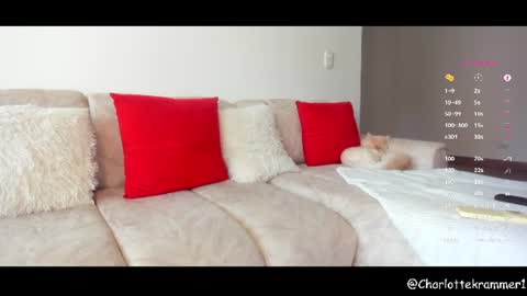 Snapshot of misscharlottek chatting on 17, 7, 2026 Charlotte independent model online show from 17, 7, 2026