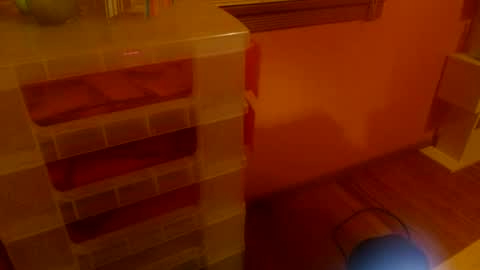 Snapshot of misskittyfox chatting on 25, 6, 2026 MissKittyFox online show from 25, 6, 2026