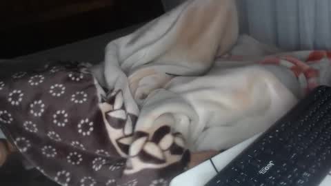 sarah online show from 28, 12, 2024