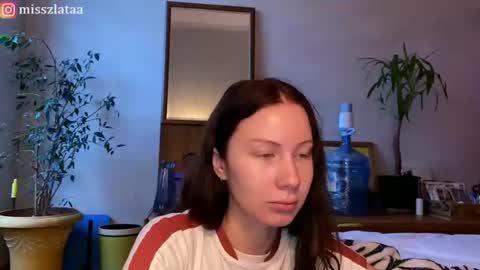 Zlata online show from 6, 11, 2025