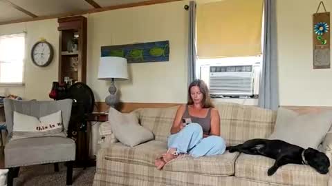 mjdriven online show from 5, 7, 2026